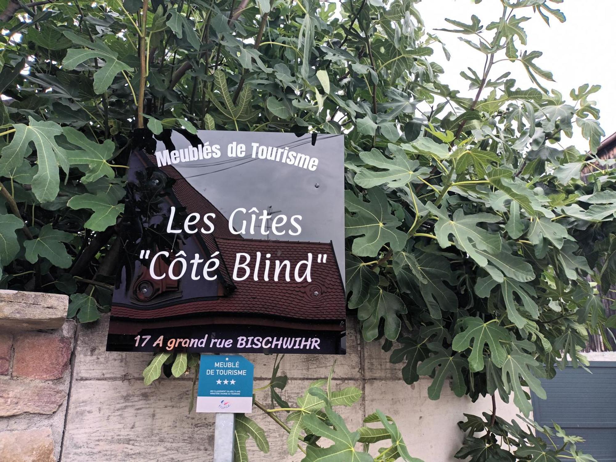 "Les Gites Cote Blind" Tout Confort Proche Colmar 比什维尔 外观 照片